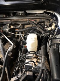 IMG_9922.jpeg