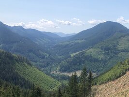 IMG_9062.jpeg