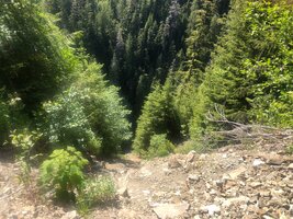 IMG_9077.jpeg