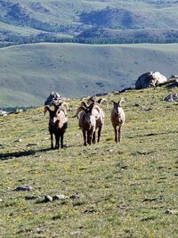 IMG_7750[1].JPG