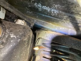 IMG_2795.jpeg