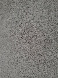 20250724_183544.jpg