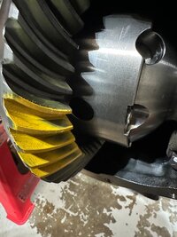 IMG_4401.jpeg