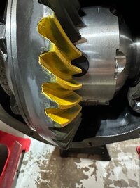 IMG_4398.jpeg