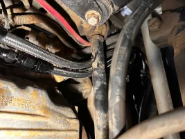 IMG_1659.webp