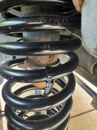 Front Spring.webp