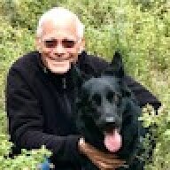 Avner